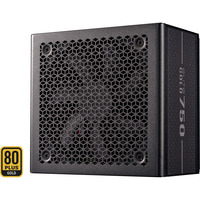 Cooler Master ELITE GOLD 750 alimentation 750 watt Noir, 1x 12V-2x6, 2x PCIe