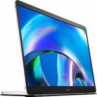 Dell Pro Plus P1425 écran plat de PC 35,6 cm (14") 1920 x 1200 pixels WUXGA LCD Argent Moniteur Argent/noir, 2x USB-C, 35,6 cm (14"), 1920 x 1200 pixels, WUXGA, LCD, 7 ms, Argent