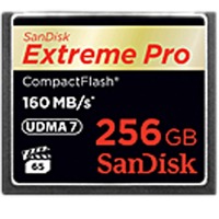 SanDisk Extreme PRO, 256GB 256 Go CompactFlash, Carte mémoire 256GB, 256 Go, CompactFlash, 160 Mo/s, 140 Mo/s, Noir