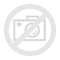 Campingaz Ethnic Minimaxi 29L, Sac isotherme Multicolore