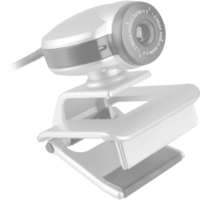 Logitech BRIO 105, Webcam Graphite