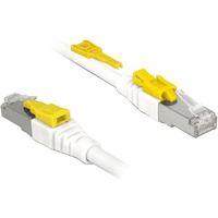 DeLOCK Câble réseau RJ-45 sécurisé Cat.6a Blanc, 85335, 5 mètres