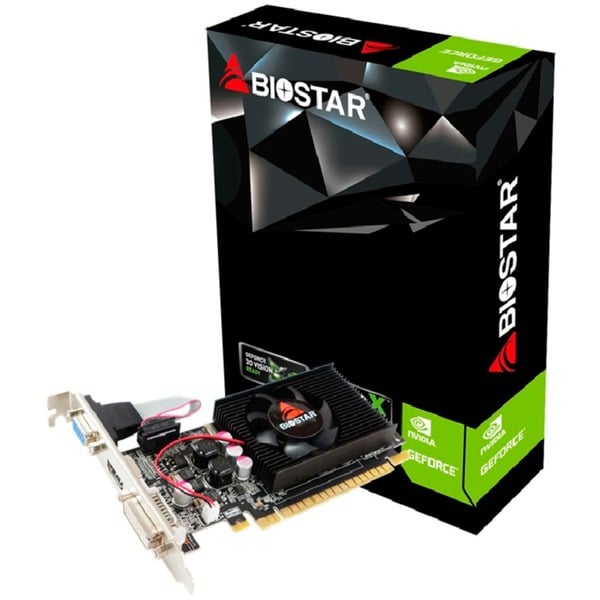 Biostar VN6103THX6 carte graphique NVIDIA GeForce GT 610 Go