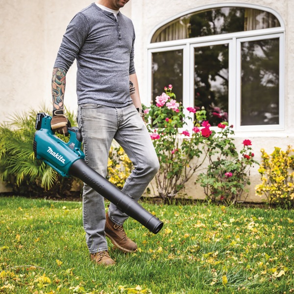 Aspirateur Souffleur De Feuilles Sans Fil 2-en-1 - 21V, 2 Batteries - Pour Jardin, Terrasse, Voiture - 13