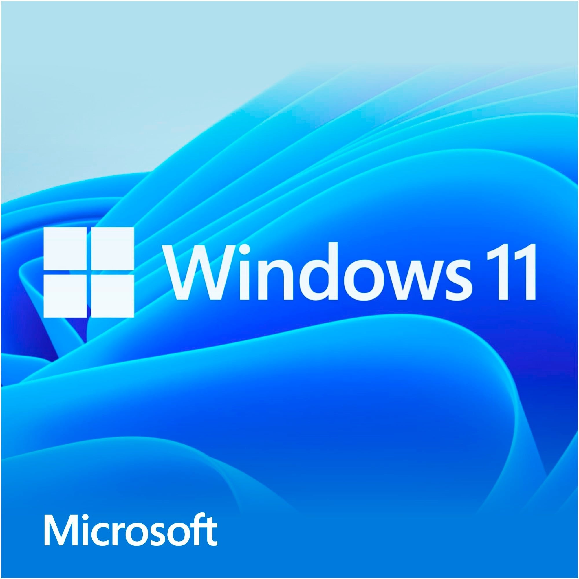 Microsoft Windows 11 Home - Flash drive - Deutsch