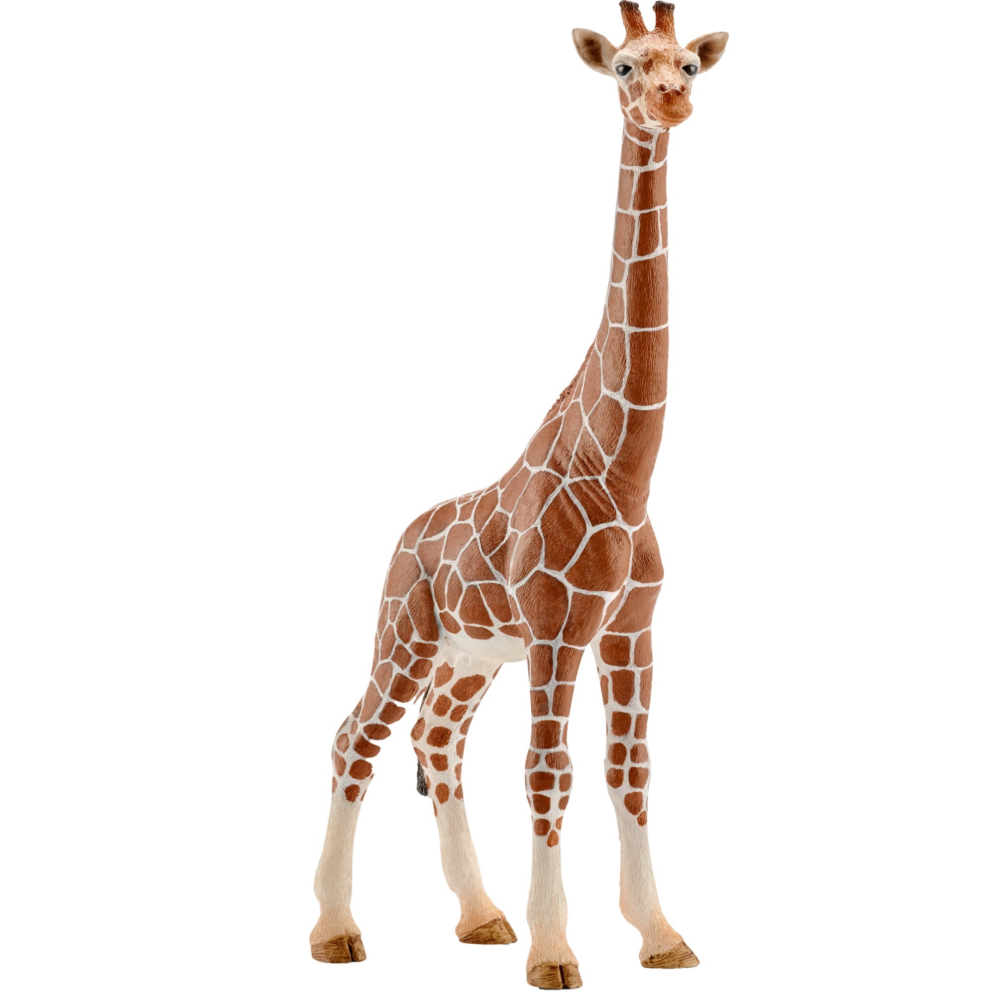 Girafe femelle - Figurine Wild Life - 14750
