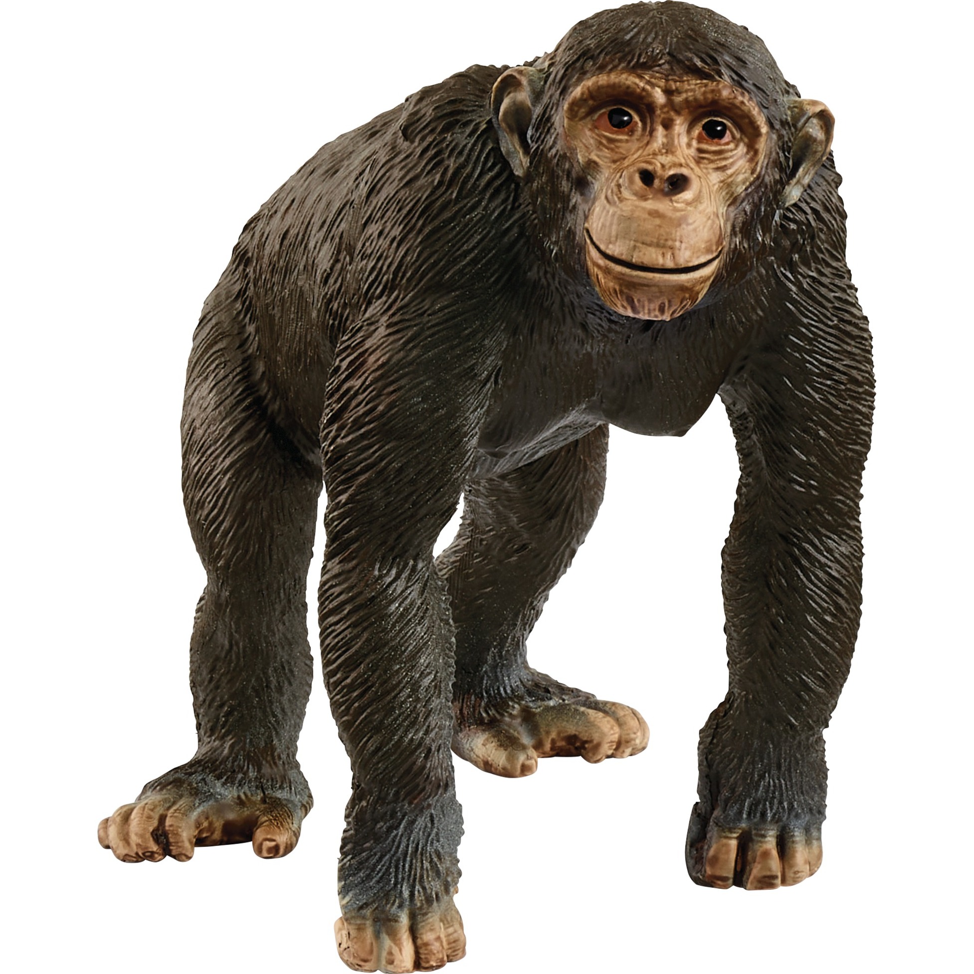 Schleich Spielfigur "WILD LIFE, Schimpanse (14883)"