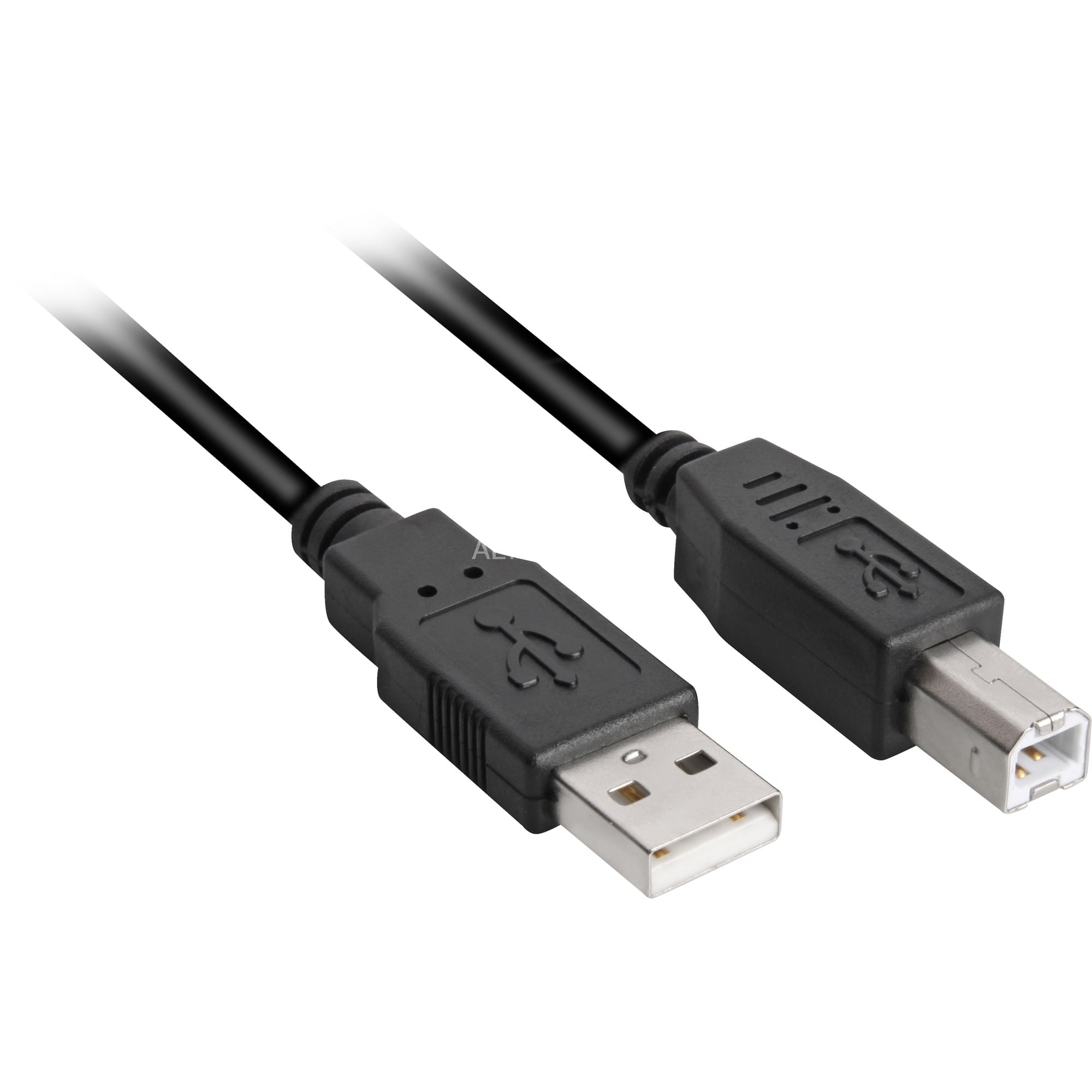 Câble USB A > USB B