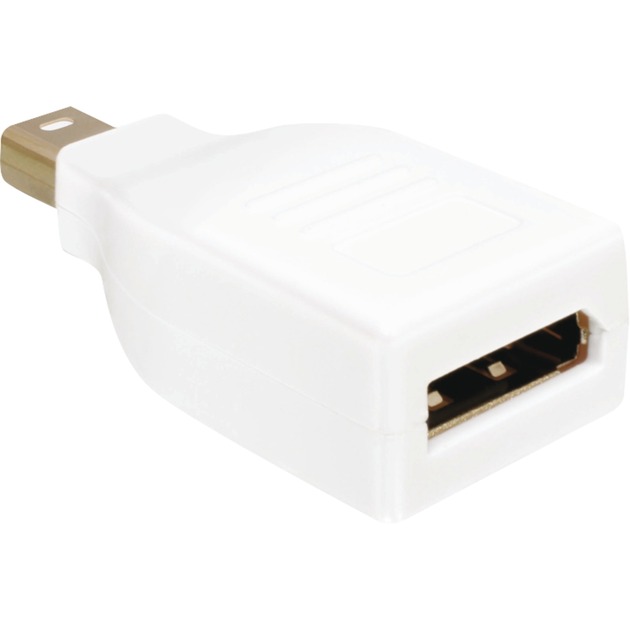 Mini-DisplayPort > Adaptateur DisplayPort